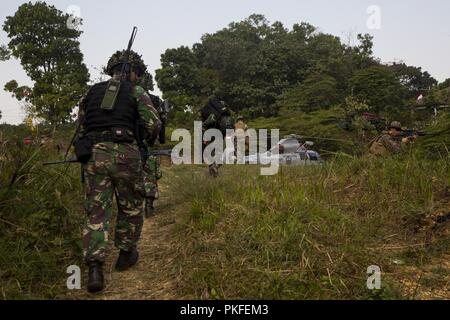 Les Marines américains avec la compagnie Kilo, 3e Bataillon, 3e Marines mener un exercice d'évacuation médicale avec des marines de l'Indonésie au cours de l'échange de peloton KORMAR à Antralina 2018 Domaine de formation, l'Indonésie, le 10 août. En 2018. Le programme d'échanges militaires entre l'Indonésie et des États-Unis consiste à chaque pays l'envoi d'un peloton de Marines pour vivre et apprendre ensemble à la base militaire de l'autre. Ce programme améliore la capacité des deux services et affiche leur engagement à partager l'information et accroître la capacité de réagir aux crises ensemble. Banque D'Images