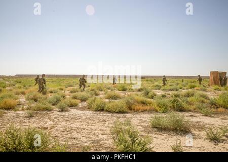 Des soldats américains, avec des troupes de bandits, 3e régiment de cavalerie, l'avance pour effacer un bâtiment au cours d'un exercice de tir réel des forces combinées au Camp Taji, Iraq, août, 10, 2018. Une coalition créée à partir d'une vaste communauté internationale poursuivra son soutien à la population de l'Iraq afin de renforcer les capacités de la nation d'assurer la sécurité et la stabilité. Banque D'Images