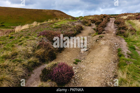 Heather en fleur dans la hauteur de l'automne au coeur du North York Moors à l'orifice de Horcum sur un beau matin près de G Banque D'Images