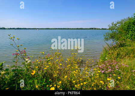 Mandicho, lac réservoir de Lech, Merching près d'Augsbourg en Souabe, Bavière, Allemagne Banque D'Images