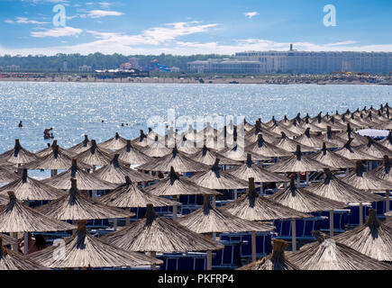 Reed de parasols, dans la région de Velipoja, Velipojë, Mer Adriatique, Qark Shkodra, l'Albanie Banque D'Images