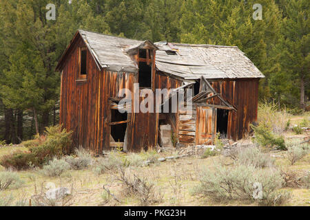 Cabine intempéries, Elkhorn, Beaverhead-Deerlodge National Forest, Montana Banque D'Images