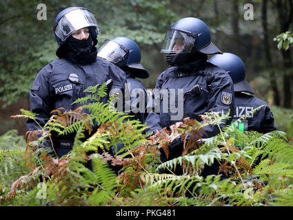 13 septembre 2018, en Rhénanie du Nord-Westphalie, Kerpen : Les agents sont debout dans la forêt de Hambach. La police fixent le début de l'évacuation de la forêt de Hambach. Photo : Oliver Berg/dpa Banque D'Images