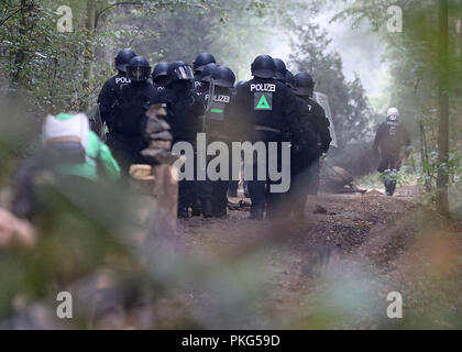 13 septembre 2018, en Rhénanie du Nord-Westphalie, Kerpen : flics sont la marche à travers la forêt. La police fixent le début de l'évacuation de la forêt de Hambach. Photo : Oliver Berg/dpa Banque D'Images