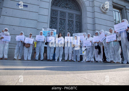 Madrid, Espagne. 13 Sep, 2018. Vu tous les militants vêtus de combinaisons blanches holding affiches pendant la manifestation.Les militants ont démontré à la Banque d'Espagne d'exiger une plus grande contrôle citoyen sur le système financier et ont dénoncé les suicides causés par la crise économique après 10 années de crise économique en Espagne. Credit : Lito Lizana SOPA/Images/ZUMA/Alamy Fil Live News Banque D'Images