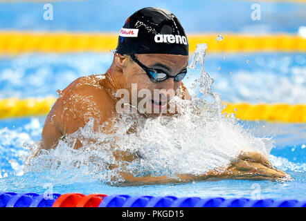 Doha. 13 Sep, 2018. Felipe Lima du Brésil au cours de la concurrence le 100 m brasse de la finale de la Coupe du Monde de Natation FINA 2018 Doha à Doha, capitale du Qatar le 13 septembre 2018. Felipe Lima réclamé le titre avec 59,61 secondes. Credit : Nikku/Xinhua/Alamy Live News Banque D'Images