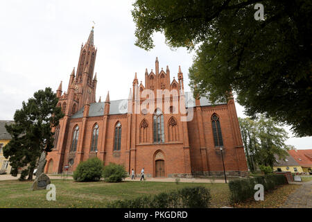10 septembre 2018, Mecklembourg-Poméranie-Occidentale, Malchow : 10 septembre 2018, l'Allemagne, Malchow : l'église du monastère, une partie de l'orgue musée. De nombreux organes de l'Eglise dans le pays ont été endommagés par l'air exceptionnellement sec de ces derniers mois : wind-supportant des pièces, pièces statiques desserrer. Photo : Bernd Wüstneck/dpa Banque D'Images