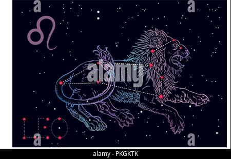 Lion signe du zodiaque et constellation. Lion couché sur un fond bleu cosmique avec des étoiles. Horoscope astrologie, l'astronomie, la fantasy, la mythologie. Gravure Vintage style tattoo hand drawn vector illustration. Illustration de Vecteur