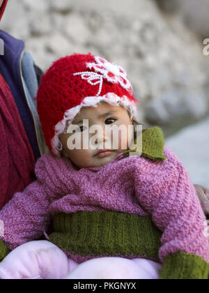 Un enfant,LADAKHIS TINGMOSGANG, Ladakh, le Jammu-et-Cachemire, l'Inde, l'ASIE Banque D'Images