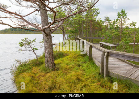 Passerelle en bois sur un lac dans une tourbière Banque D'Images