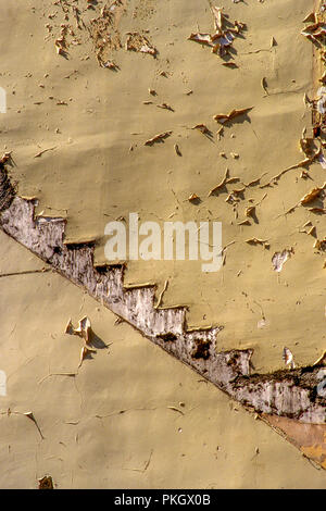 Photo verticale d'un vieux mur et d'un escalier avec peinture usée capturée sous la lumière du soleil Banque D'Images