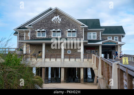 Vue générale de Jennette's Pier à Nags Head section des Outer Banks, Caroline du Nord, États-Unis Banque D'Images