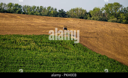 Paysage agricole sur la journée d'été avant le coucher du soleil. Le champ moissonné définit le champ vert fortement du maïs. Central Bohemia, Czech Republ Banque D'Images