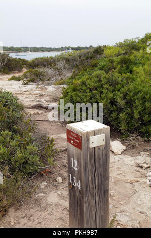 Cami de Cavalls, sentier de randonnée autour de l'île de Minorque, Iles Baléares, Espagne Banque D'Images