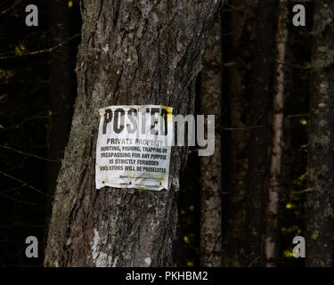 Posté propriété privée signe sur un arbre au bord d'un sombre des montagnes Adirondack, NY USA forêt. Banque D'Images