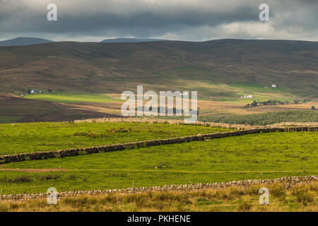 North Pennines Paysage de l'AONB, vue en direction de Harwood, Upper Teesdale, au Royaume-Uni au début de l'automne avec des taches de soleil et ombre Banque D'Images