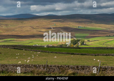 North Pennines Paysage de l'AONB, vue vers Langdon Beck, Upper Teesdale, au Royaume-Uni au début de l'automne avec des taches de soleil et ombre Banque D'Images