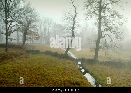 Un jour brumeux dans la région de M. Barroso. Trás-os-Montes, Portugal Banque D'Images