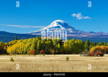 Mt Adams et tremble arbres en automne et un champ de pâturage Banque D'Images