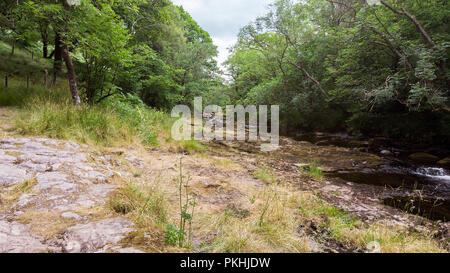 Afon Mellte Sgwd Clun-Gwyn la rivière menant à une chute d'eau, Pays de Galles, Royaume-Uni Banque D'Images