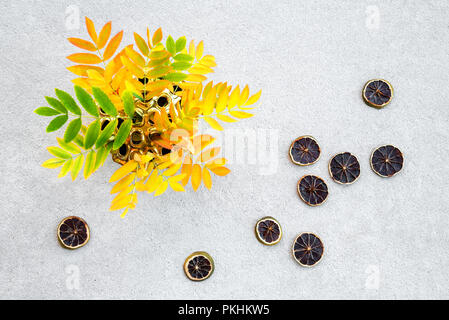 Encore l'automne de la vie. Les feuilles des arbres ashberry colorés dans un lotus d'or vase et tranches de citron séché sur fond de béton. Banque D'Images