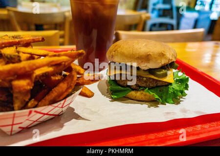 Burger au fromage et les incendies w/,fromage cheddar fort Jalapeño, cornichons, champignons et salade de pommes de terre sont les incendies de forêt et un grand plateau de glace Banque D'Images