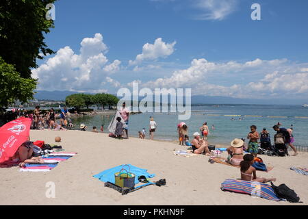 Les nageurs bénéficiant d'un été, nager dans le lac de Genève, Suisse Banque D'Images