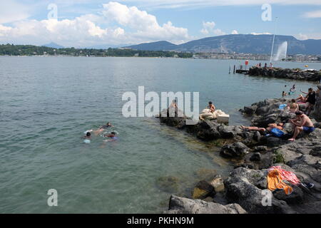 Les nageurs bénéficiant d'un été, nager dans le lac de Genève, Suisse Banque D'Images