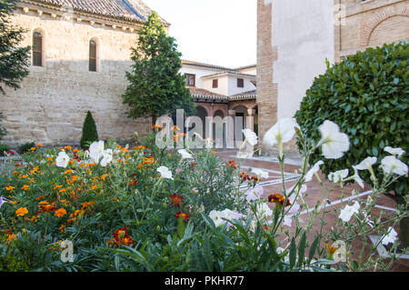 Fleurs dans le couvent de Santa Clara, Astudillo. La province de Palencia, Castille-Leon, Espagne Banque D'Images