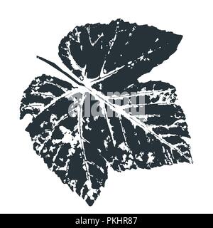 Vector grape Leaf imprimer. Inkprinted des feuilles des arbres sur papier Illustration de Vecteur