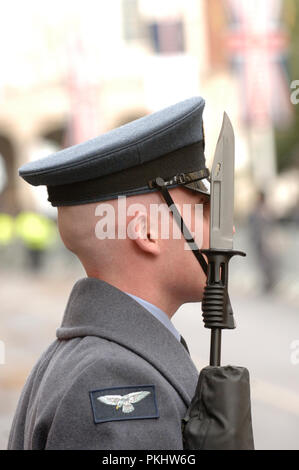 RAF garde pendant une visite d'État du président français Nicolas Sarkozy à Windsor, Berkshire, Angleterre. 26 Mars 2008 Banque D'Images