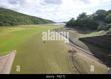 Leeds, Yorkshire UK. 13 sept 2018. Les niveaux d'eau demeurent faibles à Lindley réservoir dans le Washubrn Valley, à l'extérieur de l'agglomération Leeds/Bradford après un nombre record de chaleur de l'été. Lindley n'est qu'un d'une série de réservoirs situés dans la vallée de l'eau d'alimentation qui Washburn de principales villes de la région. crédit David Hickes/Alamy Live News. Banque D'Images