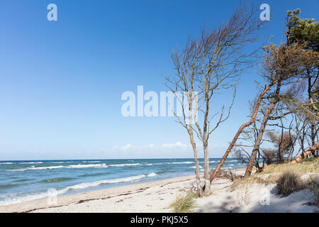 BRD, Mecklenburg Vorpommern, Fischland-darss-Zingst, Darß, Nationalpark Vorpommersche Boddenlandschaft, le Relais du Lac Banque D'Images