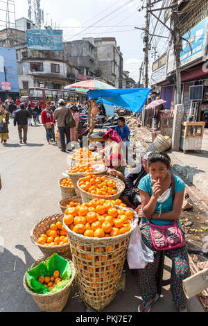 La vente des oranges sur la rue, Shillong, Meghalaya, en Inde Banque D'Images