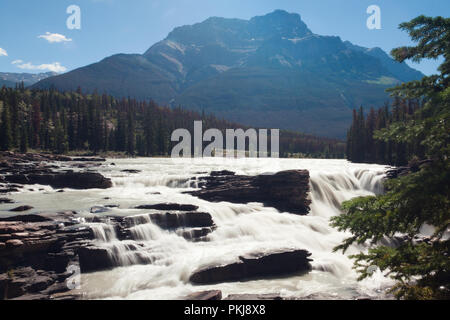 Les chutes Athabasca, Jasper, Alberta, Canada Banque D'Images