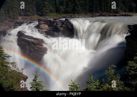 Les chutes Athabasca, Jasper, Alberta, Canada Banque D'Images