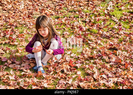 Petite fille de cinq ans jouant avec une feuille d'automne Banque D'Images