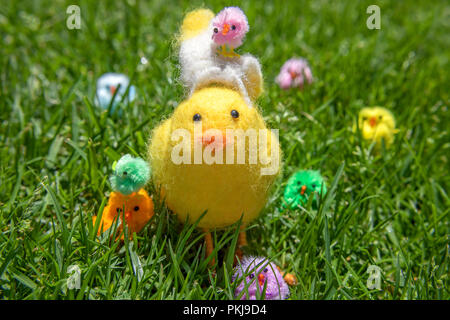 Belle poussins de Pâques dans le jardin Banque D'Images