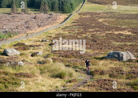 Vélo de montagne équitation à Ilkley Moor, West Yorkshire, England, UK Banque D'Images