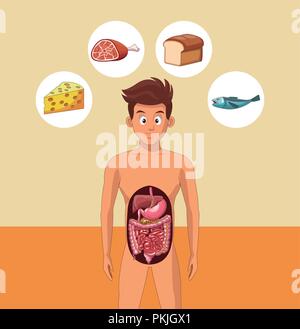 Jeune homme système digestif Illustration de Vecteur