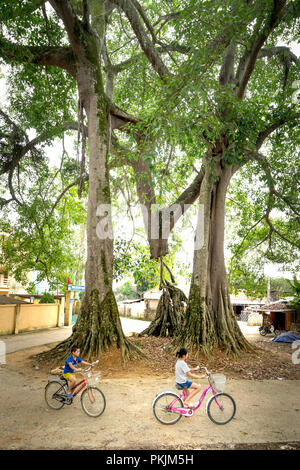 Les enfants dans le village avec des bicyclettes sous les arbres banyan à Bac fils district, Province de Lang Son, Vietnam Banque D'Images