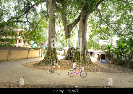 Les enfants dans le village avec des bicyclettes sous les arbres banyan à Bac fils district, Province de Lang Son, Vietnam Banque D'Images