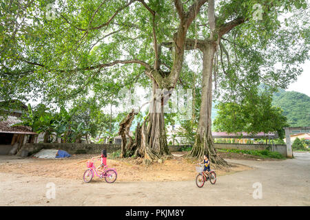 Les enfants dans le village avec des bicyclettes sous les arbres banyan à Bac fils district, Province de Lang Son, Vietnam Banque D'Images