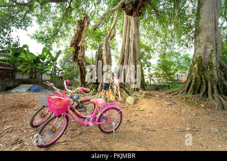 Les enfants dans le village avec des bicyclettes sous les arbres banyan à Bac fils district, Province de Lang Son, Vietnam Banque D'Images