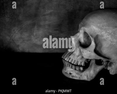 Côté de l'horreur crâne humain visage sur vieille table de bois et de ciment Mur grunge background with copy space sur noir et blanc style. Banque D'Images