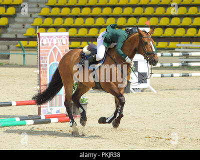 Jeune tombant de cheval pendant un concours Banque D'Images