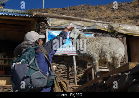 Kalinchowk, voyage au Népal Banque D'Images