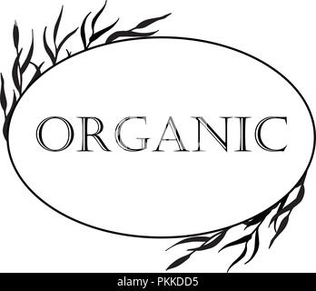 Le noir et blanc illustration dans un cadre avec les herbes médicinales pour les cosmétiques biologiques. Illustration de Vecteur