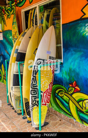 Bocas del Toro, PANAMA. Mars 2018. Une vue de planches de surf sur l'île de Bocas del Toro au Panama. Banque D'Images