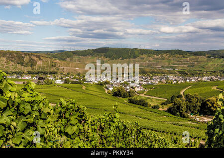 Üxheim sur la Moselle en Allemagne. Banque D'Images